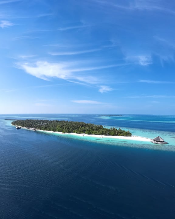 Above the island, beneath the ocean, and deep into adventure.
Discover Vilamendhoo through aerial beauty and unforgettable diving encounters with manta rays and whale sharks. 💙🐋

#vilamendhoo #maldi