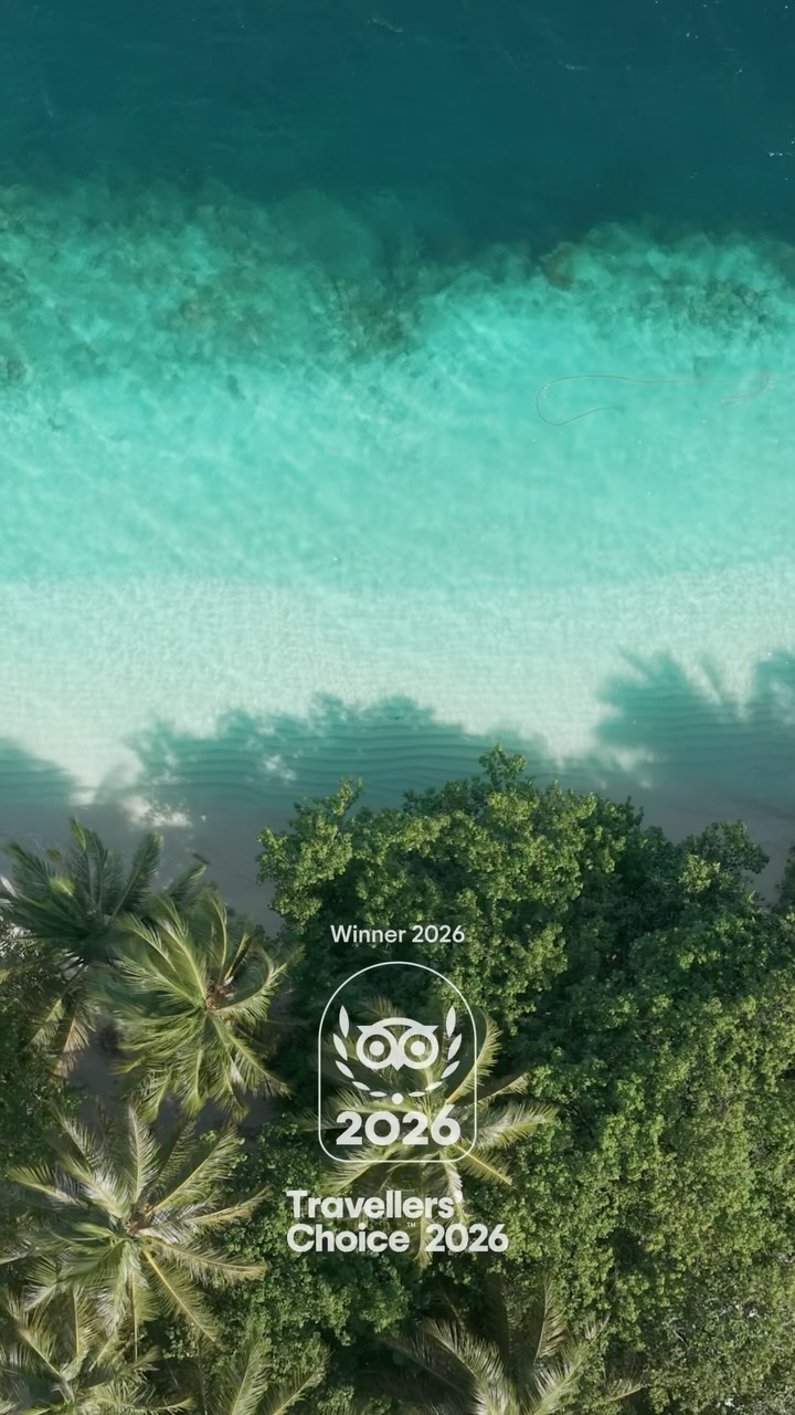 🏆 Preisgekröntes Paradies, das dank Ihnen möglich wurde. 💙

Wir sind stolz, als Gewinner des Tripadvisor Travellers’ Choice Award 2026 ausgezeichnet zu werden! Diese Auszeichnung spiegelt den Einsatz unseres großartigen Teams wider