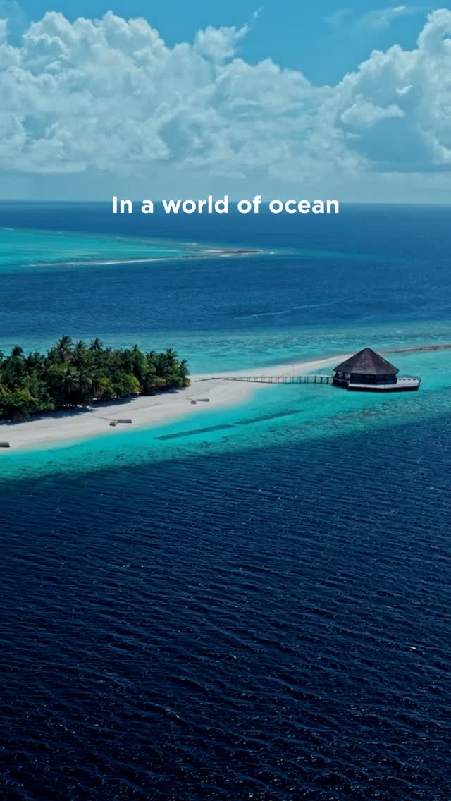 Visit Vilamendhoo island for an experience of a lifetime.

A small island.

An endless ocean.

Between the two lies a world of discovery and connection.

Special offers: Link in Bio 

#vilamendhoomald