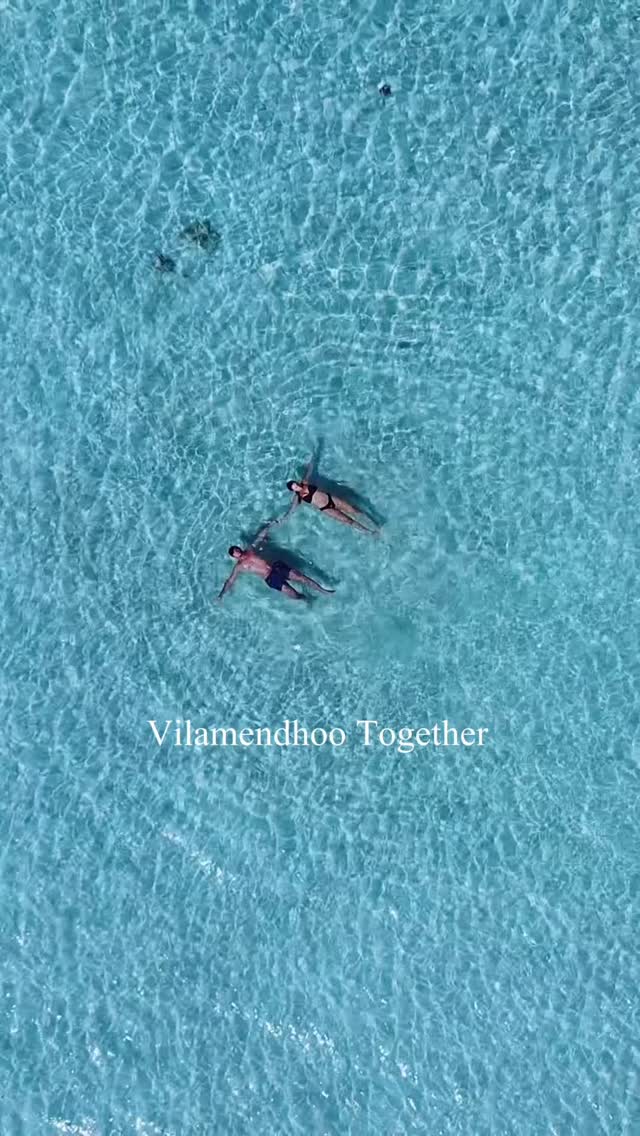 Where whale sharks, manta rays, and sunsets create unforgettable memories. 🌅💙

#vilamendhoo #vilamendhooisland #vilamendhoomaldives #visitmaldives  #maldivesresorts
