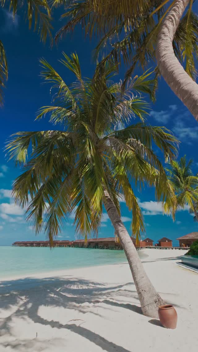 L'oceano ultimamente sembra un po' diverso… 🌊

La brezza porta qualcosa.
L'isola sembra più silenziosa.
E in qualche modo… la sensazione si fa più vicina. 🌴✨

Riesci a sentirla?

#vilamendhoomaldives #vilamend