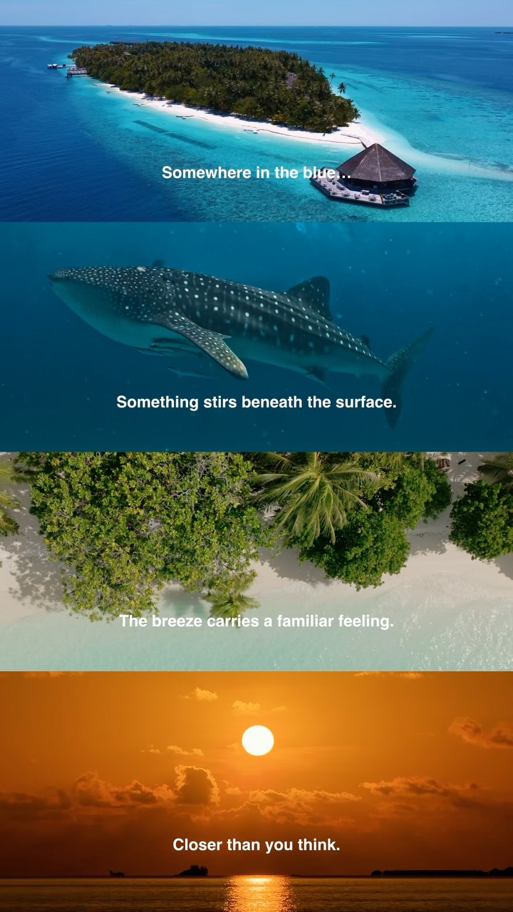 Manche Orte hinterlassen Spuren in einem.

Nicht wegen dem, was man gesehen hat…
sondern wegen dem, was man gefühlt hat. 🌊

Manche Erinnerungen beginnen lange bevor man abreist.

#vilamendhoo #maldives #maldivesresorts #visitmaldives