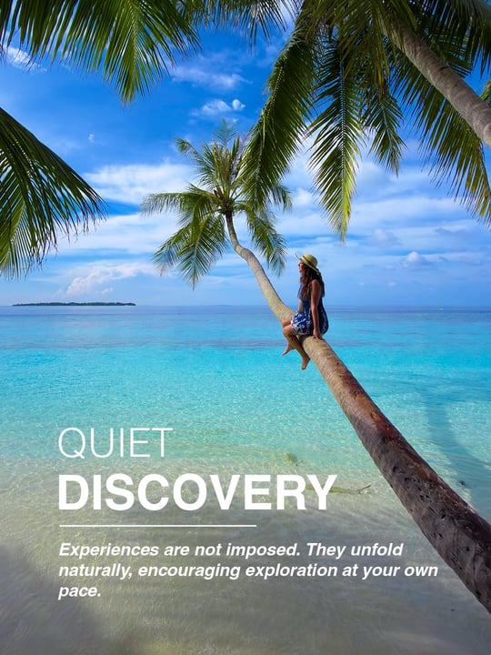 Découverte Tranquille

Nous avons hâte de replonger ensemble dans la nature très bientôt. Les sentiers de l'île et le récif maison plein de vie attendent votre retour. Commencez à rêver de votre prochaine découverte tranquille.

Plongez dans