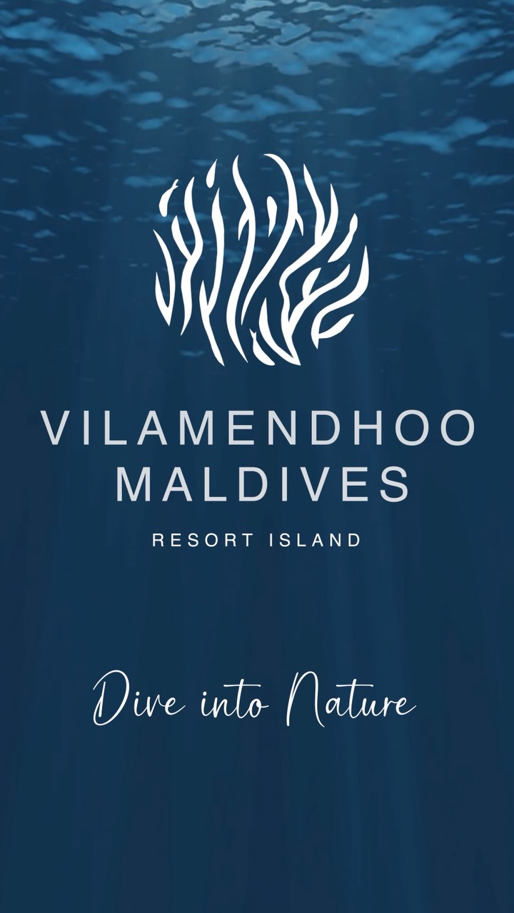 La natura ha sempre attratto Vilamendhoo—in ogni corrente, ogni tratto di costa, ogni reef vivo.

Ora, l'isola rivela una nuova firma ispirata allo straordinario mondo sopra e sotto la superficie.
