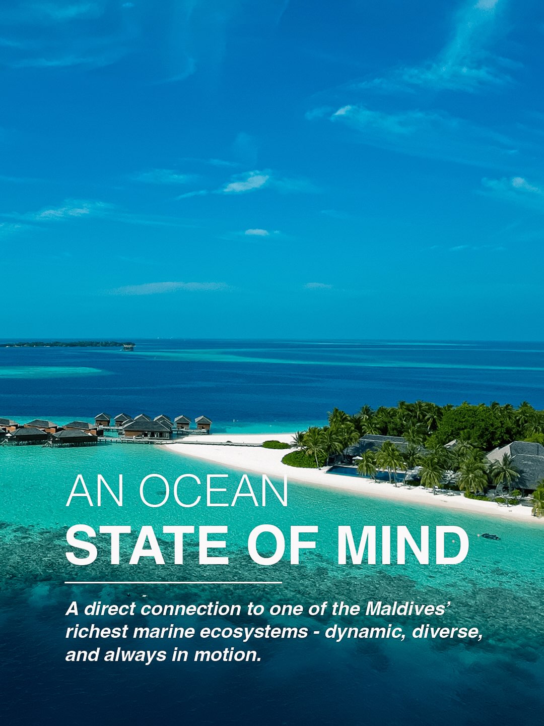 An Ocean State of Mind

At Vilamendhoo, the ocean has always been more than what surrounds us.

It shapes the rhythm of the island, the life beneath the surface, and the moments that stay with you. A 