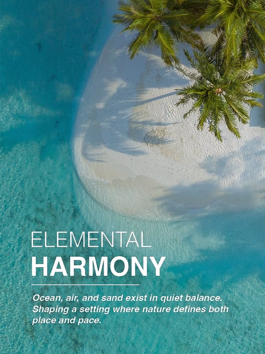 Harmonie Élémentaire

Ocean. Sable. Ciel. Île.

À Vilamendhoo, la nature n'est pas un simple décor. Elle fait partie de ce que l'on ressent sur l'île, du récif sous l'eau aux palmiers qui bougent au-dessus et au littoral
