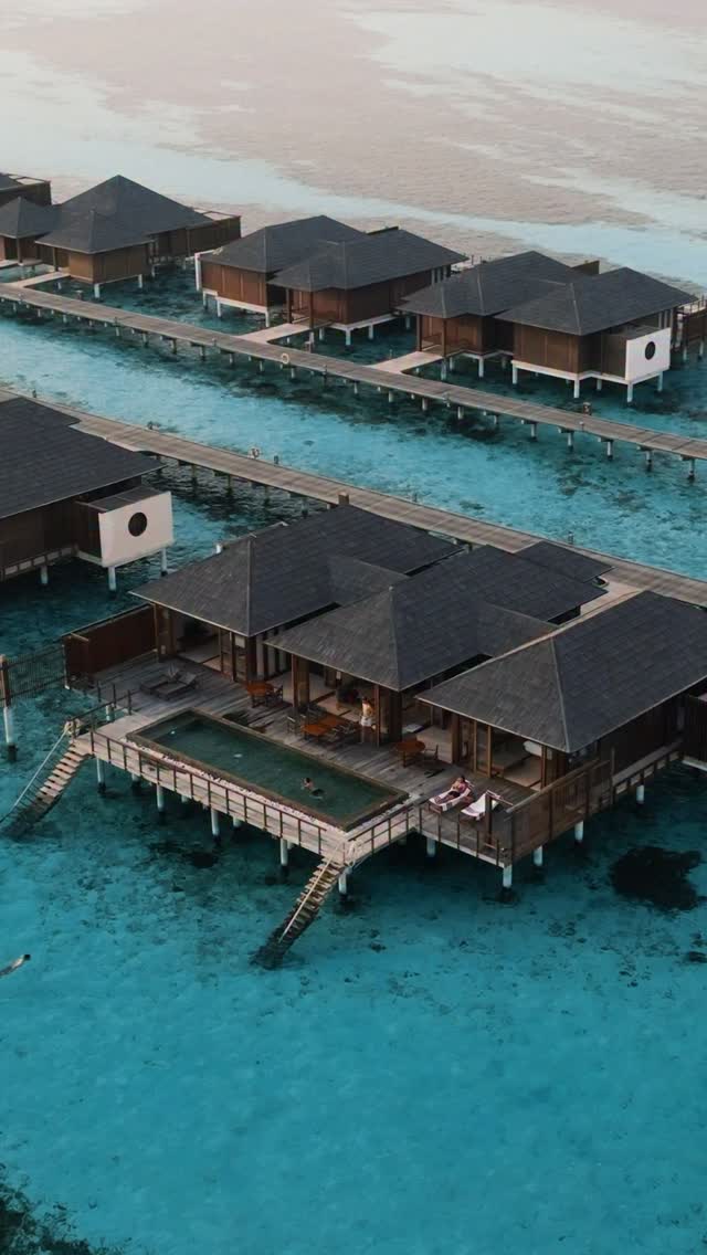 Der Sommer auf Villa Nautica hat ein bisschen mehr Tempo. 🌞

Morgen in der Wasservilla, Fahrradtouren am Strand, Jetski-Fahrten über die Lagune und Delfine, die zur goldenen Stunde durchs Blau schneiden.

Teils Inselflucht