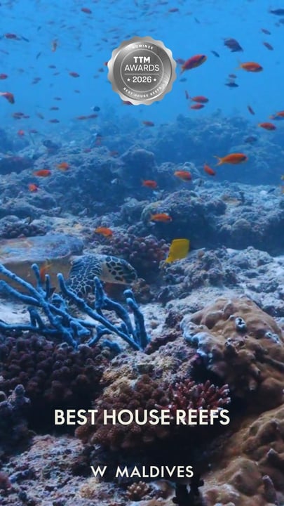 Where every swim becomes a story you will keep replaying long after you have left. Honored to be nominated for Best House Reef at the @traveltrademv Awards 2026. Dive in, drift deeper, and vote for th