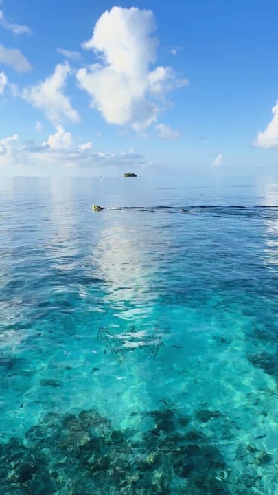 Gliding across crystal-clear waters, Sea Bob in hand. Making waves, the W Maldives way.

#WMaldives #TheOriginalWavemaker #WHotels
