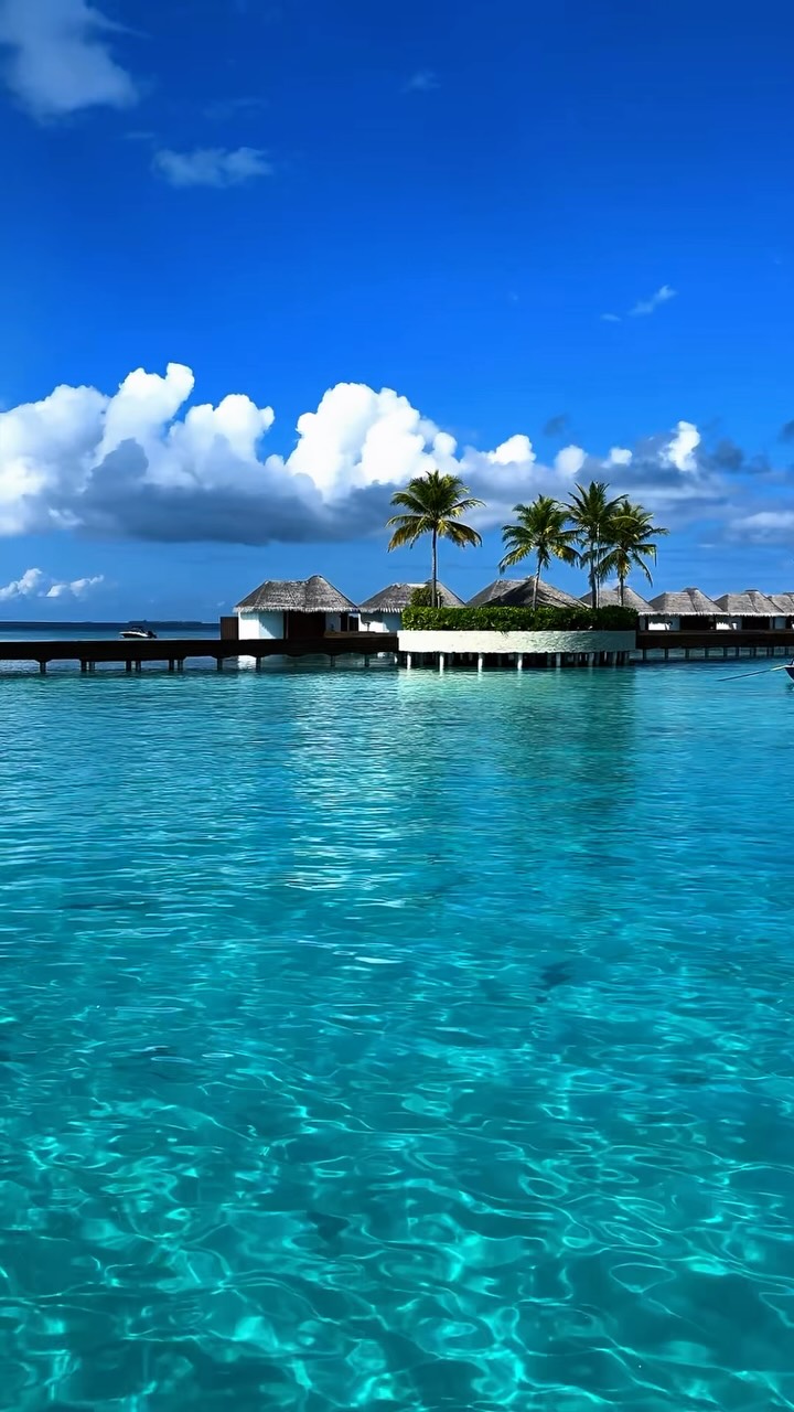 Ciel bleu. Rêves Turquoise. Un état d'esprit insulaire. 💙
Des moments spontanés, des bleus à l'infini, et un peu de magie W.

#WMaldives #WhateverWhenever #WHotels #TheOriginalWavemaker