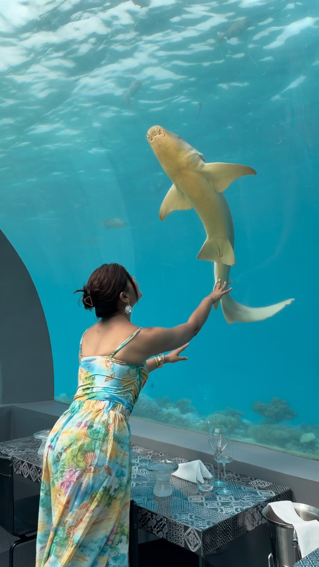 Nur ein Glas trennt Sie davon. 🪄🪞

Den Ozean zu berühren hat sich noch nie so nah angefühlt.

📍 H2O Underwater Restaurant von Chefkoch Andrea Berton @RistoranteBerton

🏝️ @YouAndMeMaldives by @TheCocoonCollection

#youandmemald